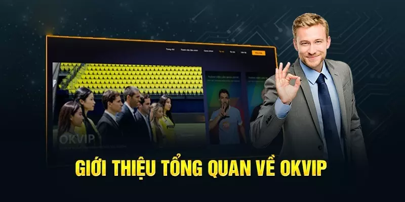 Giới thiệu quá trình hình thành của tổ chức OKVIP