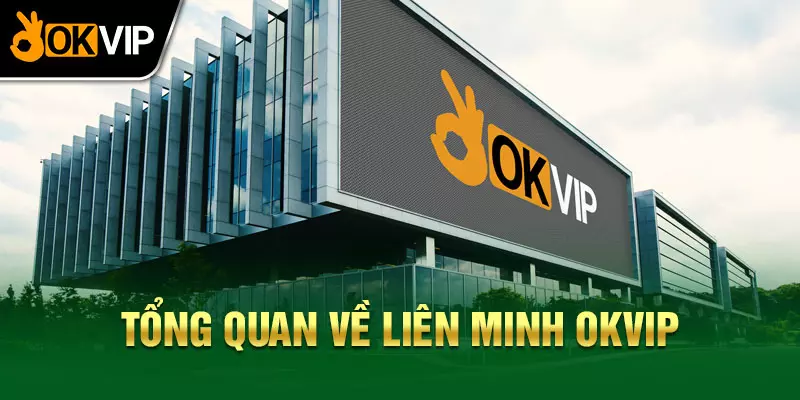 Tổng quan về liên minh OKVIP